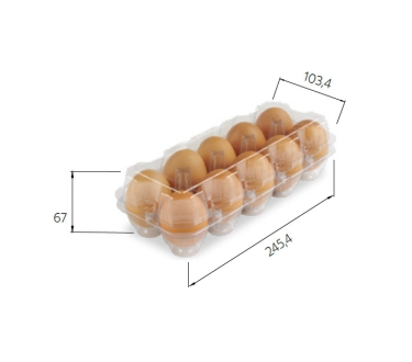 Embalagem 10 ovos de galinha/pinos em PET