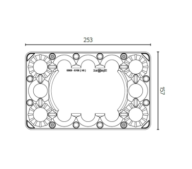Embalagem 15 ovos de galinha em PET